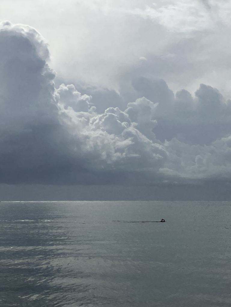 Screenshot 2026-03-21 at 1.36.10 PM